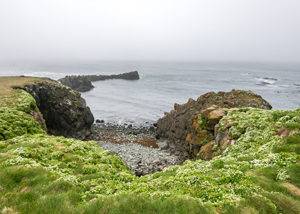 Crucero acantilados Islandia