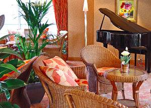 Crucero fluvial Bar Piano