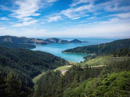 Crucero oferta por Nueva Zelanda con Royal Caribbean